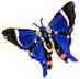 abm_id=60784